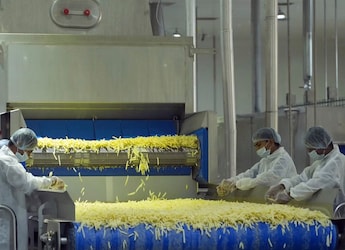 https://food.ndtv.com/news/this-plant-in-gujarat-can-process-5-tonnes-of-french-fries-every-hour-pm-modi-shares-pictures-12257645