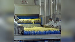 This Gujarat Factory Produces 5 Tonnes Of French Fries Every Hour. PM Modi Shares Pictures