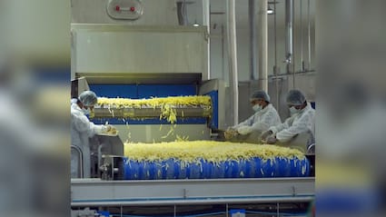 This Factory Produces 5 Tonnes Of French Fries An Hour. PM Modi Shares Pics