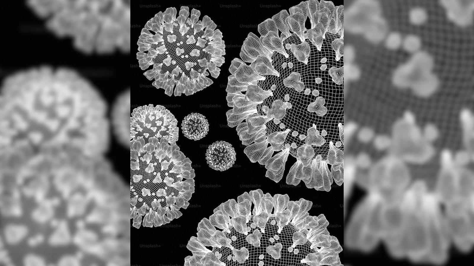 France Reports First Ever Human Case Of Shamonda Virus: Public Risk, Symptoms Explained