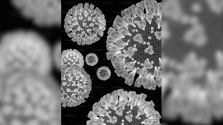 France Reports First Ever Human Case Of Shamonda Virus: Public Risk, Symptoms Explained