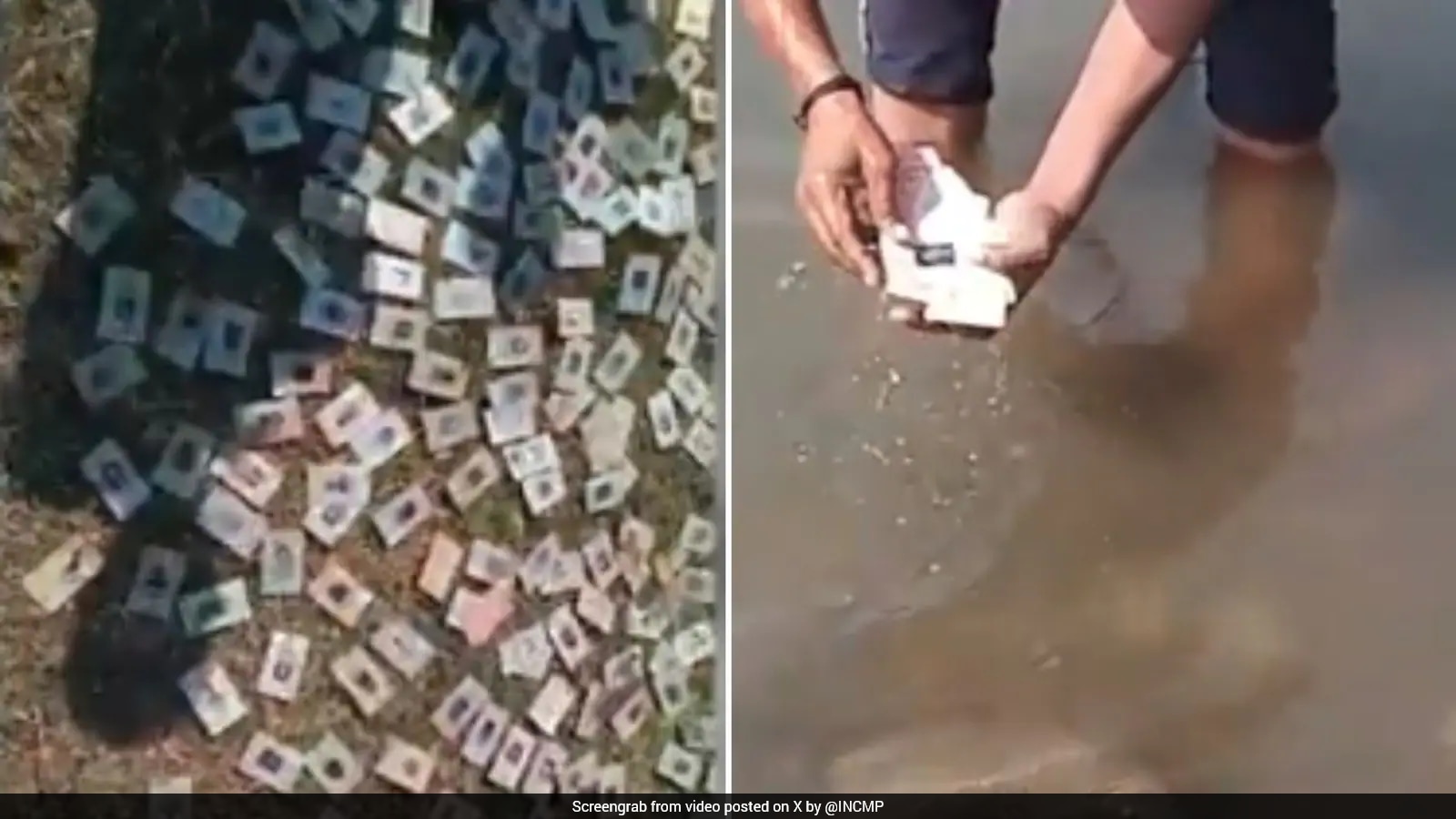 Over 340 Voter ID Cards Found on Narmada Riverbank in Madhya Pradesh