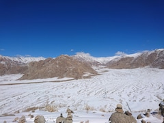 Saffron In The Cold Desert? Ladakh Is Putting 90,000 Iranian Corms To The Test