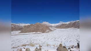 Saffron In The Cold Desert? Ladakh Is Putting 90,000 Iranian Corms To The Test