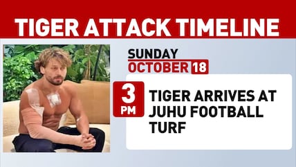 Tiger Shroff Attack: From Football Turf To Kota Arrests, The 20-Hour Timeline