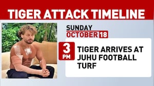 Tiger Shroff Attack: From Football Turf To Kota Arrests, The 20-Hour Timeline