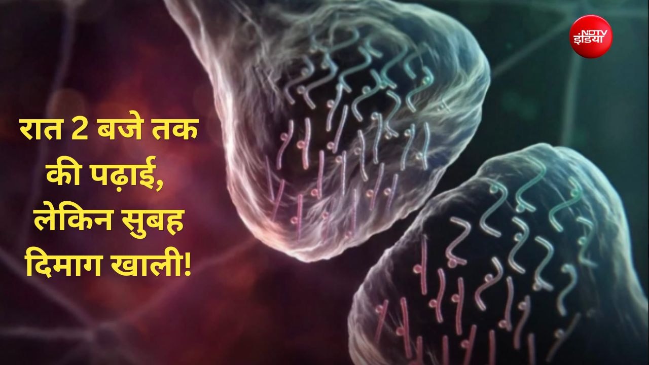 रातभर जागकर रटा और सुबह दिमाग ब्लैंक? इस रिपोर्ट में छिपा है इम्तिहान में भूलने का असली कारण
