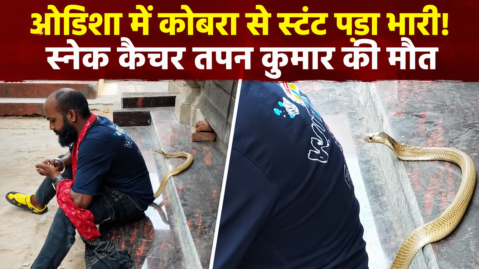 ओडिशा में कोबरा से स्टंट पड़ा भारी! स्नेक कैचर तपन कुमार की मौत