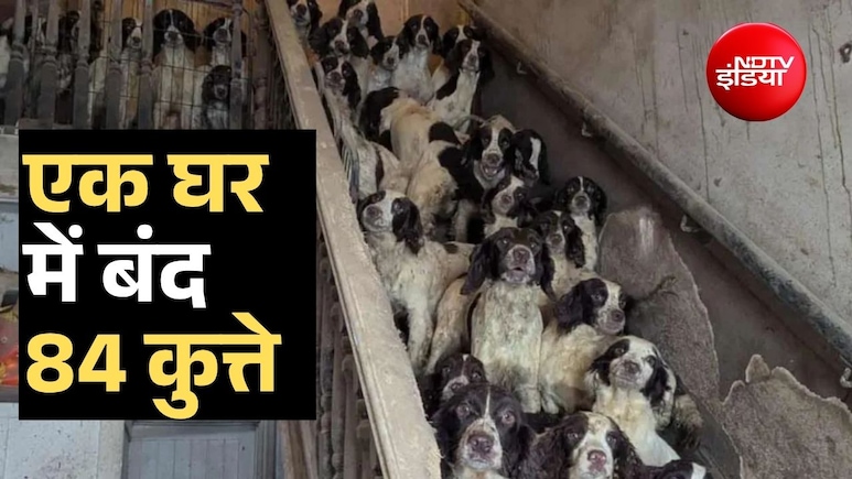 एक छोटे से घर में बंद थे 84 कुत्ते, उनकी तस्वीरें देख सब सिहर गए