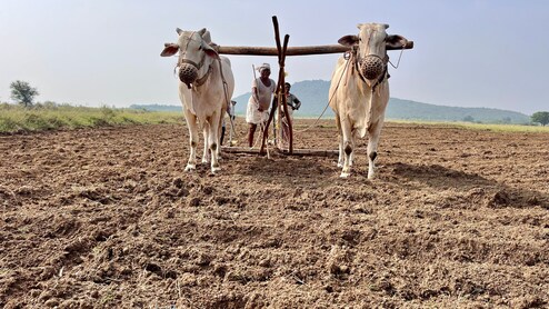PM-Kisan Beneficiary: Check Eligibility Criteria, Required Documents And How To Get Rs 2,000 Installment