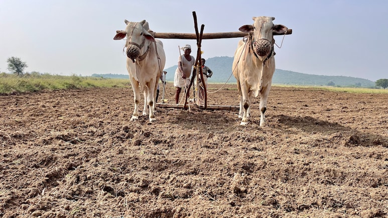 PM-Kisan Beneficiary: Check Eligibility Criteria, Required Documents And How To Get Rs 2,000 Installment
