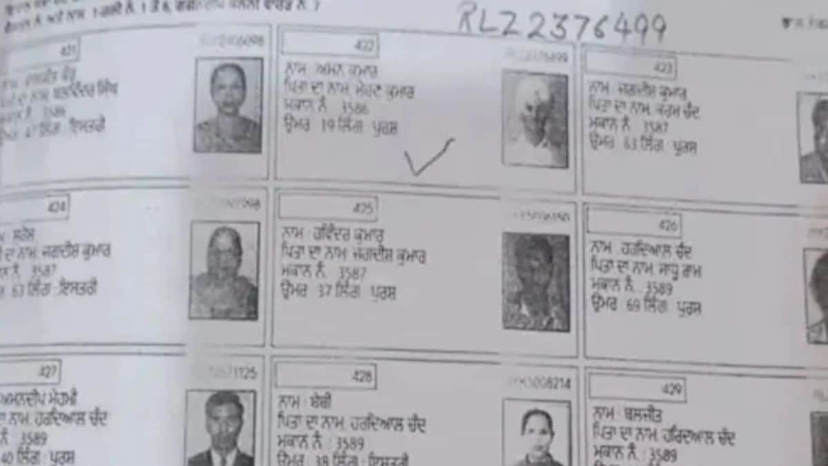 'यही देखना रह गया था...', लुधियाना के वोटर लिस्ट में भगत सिंह की फोटो पर विवाद, अधिकारी का जवाब भी पढ़ें