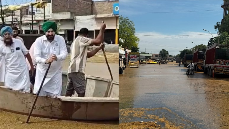 पंजाब के फाजिल्का की धान मंडी में करोड़ों रुपये की फसल पानी में डूबी, नाव के सहारे हो रहा आना-जाना
