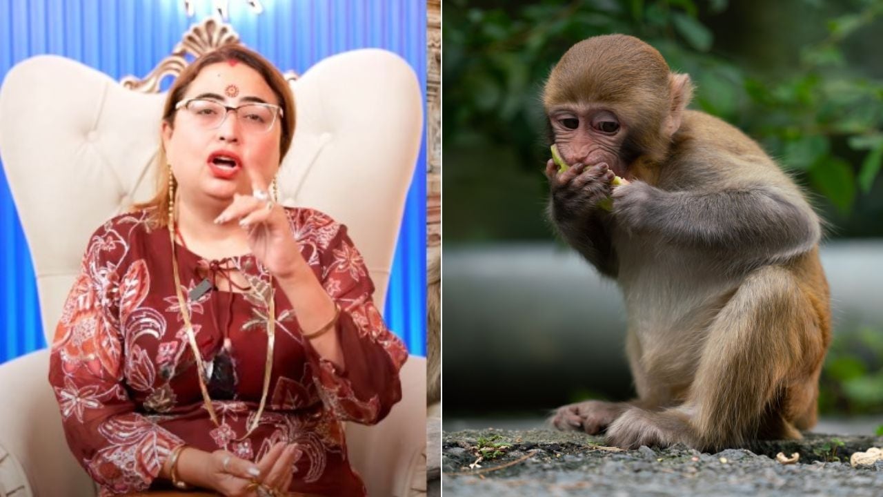 बंदर को खाना खिलाने से क्या होता है? एस्ट्रोलॉजर साक्षी ठाकुर ने बताया किसे जरूर करना चाहिए ये उपाय