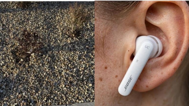 Man Loses Earbud In Gravel, Turns To ChatGPT &mdash; Finds It In Less Than 5 Minutes
