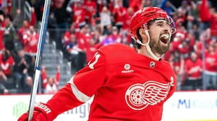 Report: Detroit Red Wings Disappointed By Trade Offers For Dylan Larkin And Simon Edvinsson