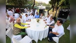 What Happened At Rahul Gandhi's High Tea With INDIA Bloc: Inside Story