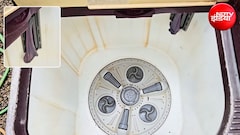 Washing Machine Cleaning Tips: क्या आपकी वॉशिंग मशीन से आती है बदबू? जानें साफ करने का आसान तरीका