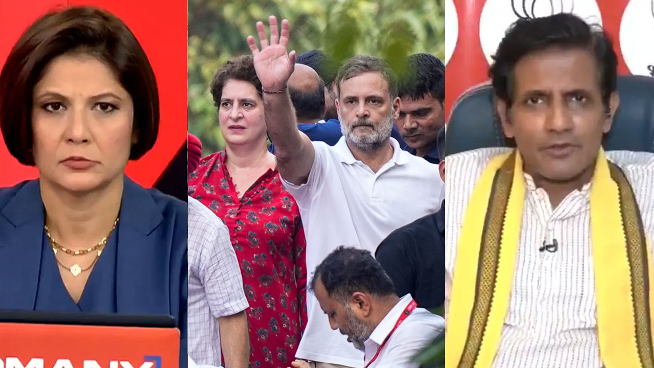 'Rahul Gandhi Is Challenging The Top Court': BJP's Tuhin Sinha On Opposition Protest