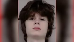 Who Is Alexandros Paporakis? Restaurant Cashier Arrested As Mass Shooting Plot At Chicago Hindu Temple Foiled