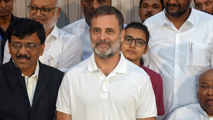 "Resistance Will Continue": Rahul Gandhi Hosts High Tea For INDIA Bloc