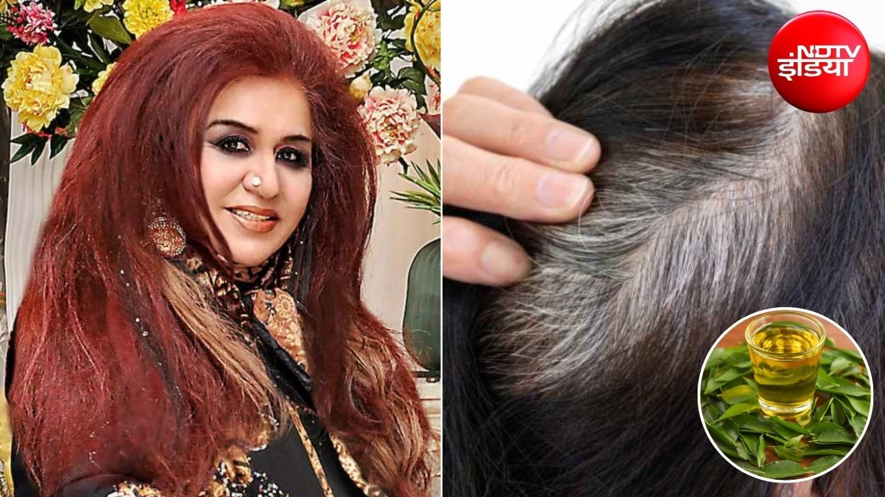 Curry Leaf for White Hairs: सफेद बालों से हो गए हैं परेशान? ऐसे करें कड़ी पत्ते का इस्तेमाल, ब्यूटी एक्सपर्ट शहनाज हुसैन से जानिए जरूरी टिप्स