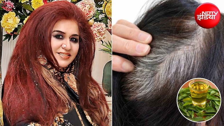 Curry Leaf for White Hairs: सफेद बालों से हो गए हैं परेशान? ऐसे करें कड़ी पत्ते का इस्तेमाल, ब्यूटी एक्सपर्ट शहनाज हुसैन से जानिए जरूरी टिप्स