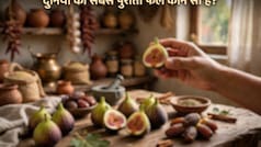 धरती पर सबसे पहले कौन सा फल उगा था? जानिए सबसे पुराने फल का नाम