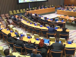 'Pak's Frankenstein Monster Of Terrorism Returned To Haunt It': India At UN