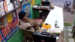 दुकानदार को गले लगाकर बैठ गया लंगूर, CCTV में कैद हुआ बेहद प्यारा नजारा