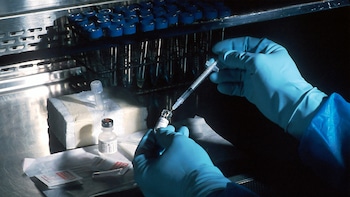 Molbio Diagnostics Shares In Focus As Motilal Oswal Initiates Coverage; Check Target Price