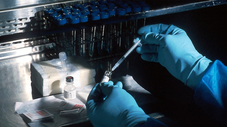 Molbio Diagnostics Shares In Focus As Motilal Oswal Initiates Coverage; Check Target Price