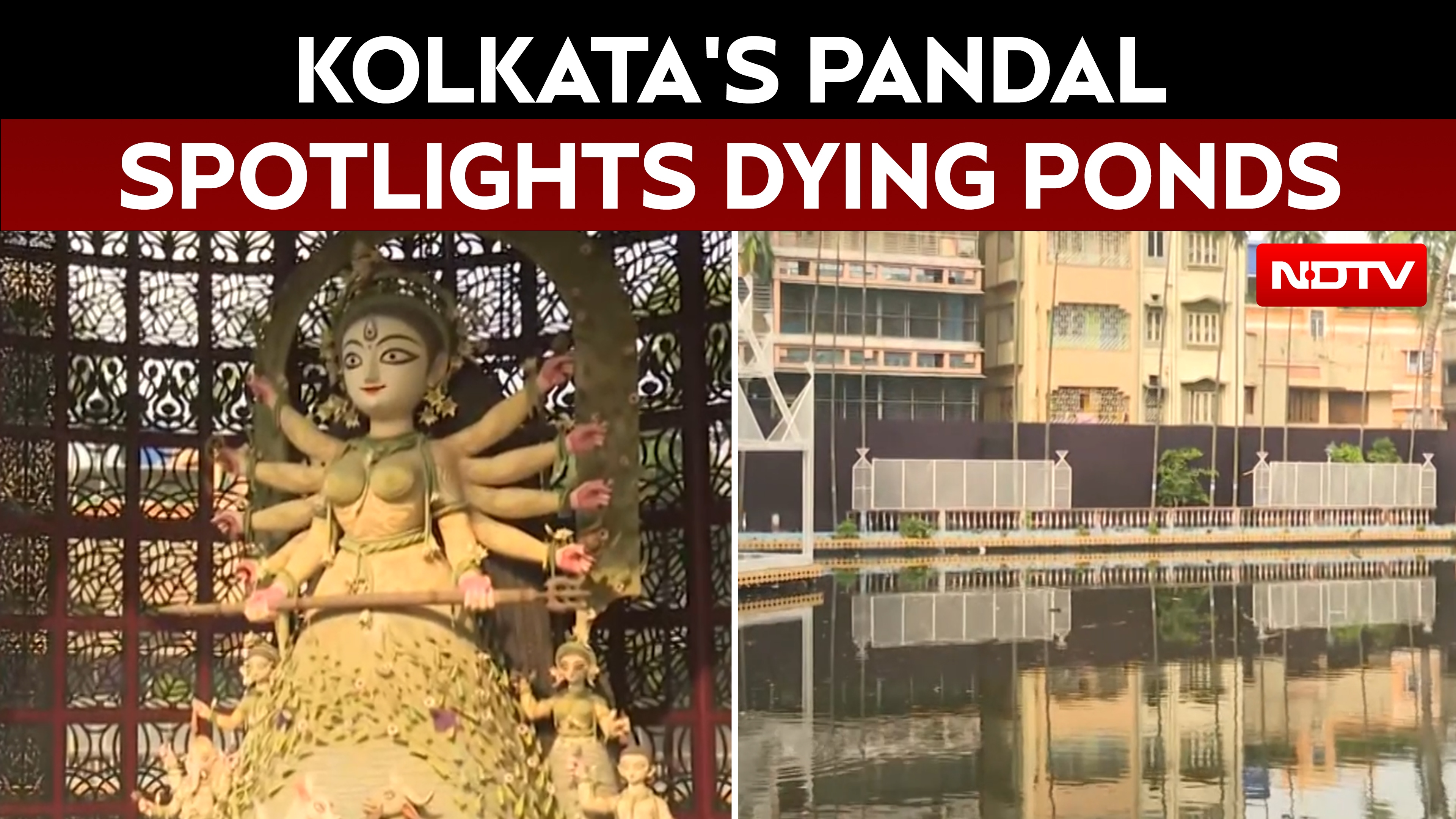 ‘Ek Pukur Bhalobasa’: Kolkata Pandal Revives Bengal's Love For Ponds