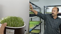 This Banker Quit His Job To Grow Microgreens, Turned It Into A Rs 5 Lakh Monthly Business