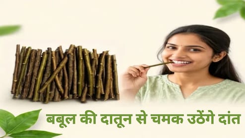 कांटेदार बबूल की दातून से चमक उठेंगे दांत, मसूड़े भी रहेंगे मजबूत, बस ऐसे करें इस्तेमाल
