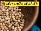धनतेरस पर धनिया क्यों खरीदते हैं? जानें पूजा के बाद धनिया के बीजों का क्या करें