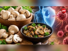 रोज मशरूम खाने से 45% तक घट सकता है कैंसर का खतरा! 19,500 लोगों पर हुई रिसर्च में बड़ा दावा