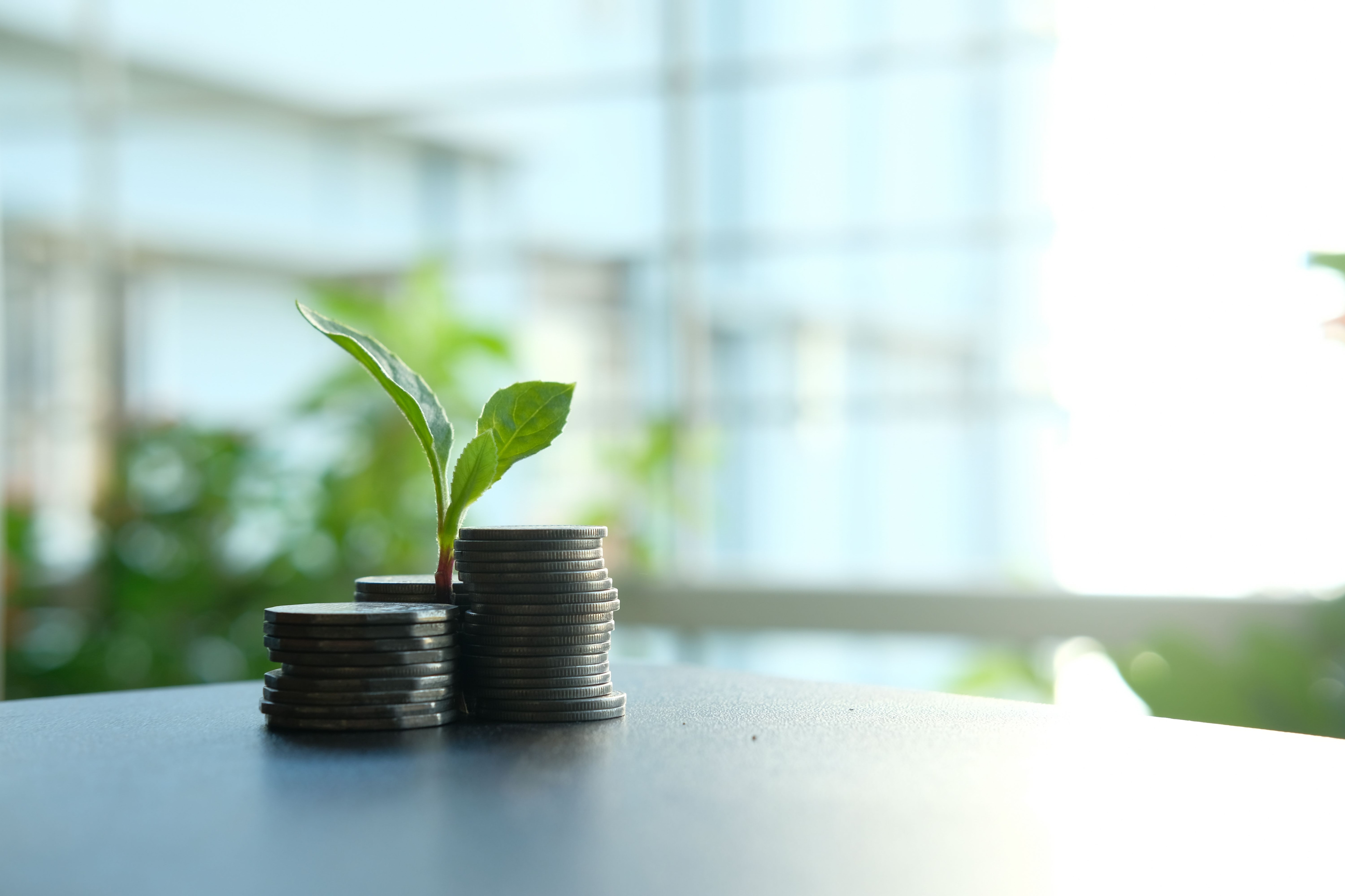 Rs 25 Lakh In Jewar Property Or An Equity Mutual Fund SIP Over 5-Year Period?
