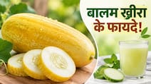 भूरे रंग का बालम खीरा पथरी, कब्ज समेत इन 5 तकलीफों में देता है राहत, जानें कब और कैसे करें सेवन