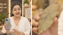 मोबाइल के पीछे तेजपत्ता रखने का क्या है राज? जानें इस टोटके के पीछे का लॉजिक, क्या है Angel Code कनेक्शन