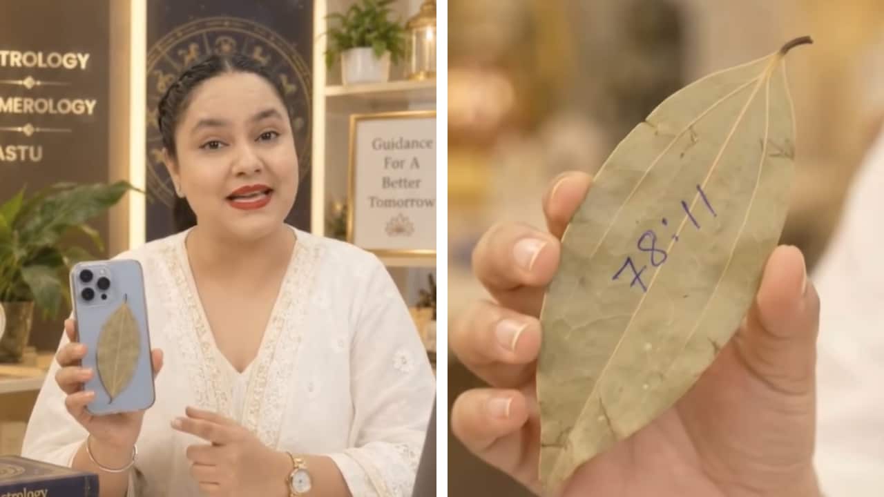 मोबाइल के पीछे तेजपत्ता रखने का क्या है राज? जानें इस टोटके के पीछे का लॉजिक, क्या है Angel Code कनेक्शन