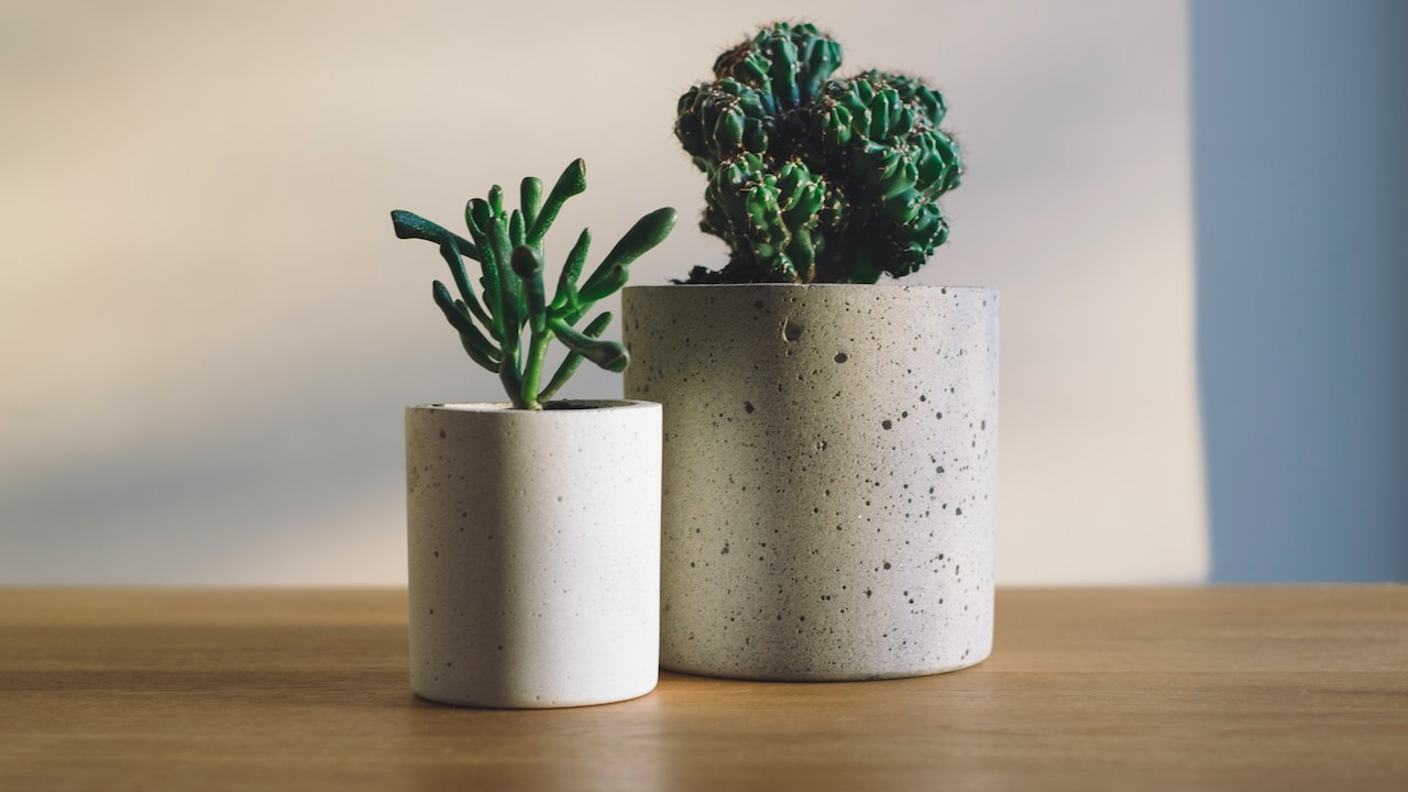 planter