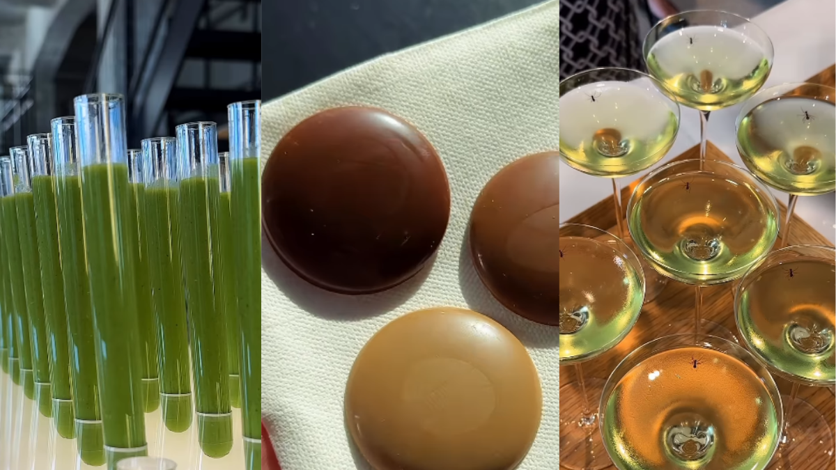 This Copenhagen Lab Is Turning Food Waste Into Chocolate-Like Treats