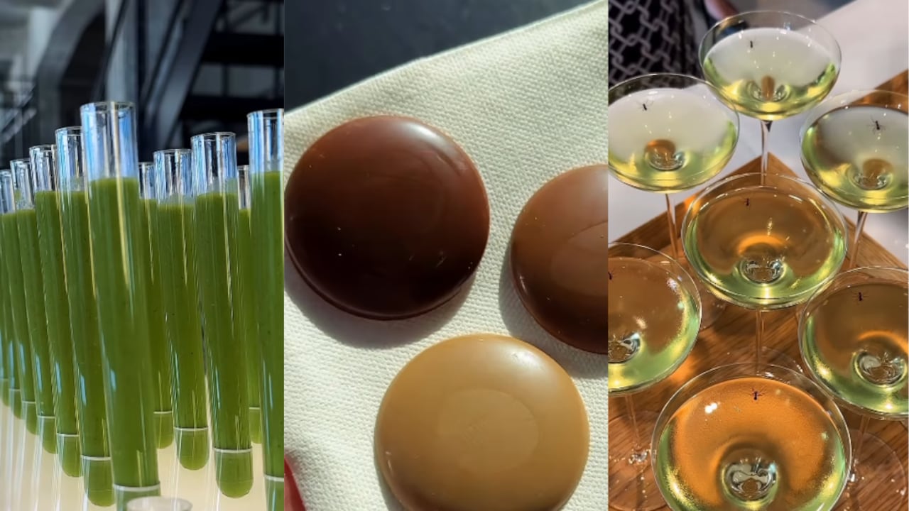 This Copenhagen Lab Is Turning Food Waste Into Chocolate-Like Treats