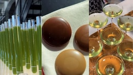 This Copenhagen Lab Is Turning Food Waste Into Chocolate-Like Treats