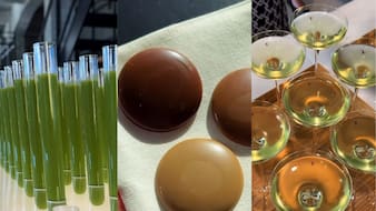 This Copenhagen Lab Is Turning Food Waste Into Chocolate-Like Treats