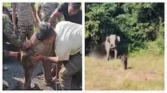 Elephant Calf Separated During Rescue Reunited With Mother After 7 Hours, Heartwarming Video Wins Hearts