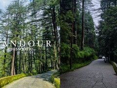 दिल्ली से लैंडोर कैसे जाएं? 5 घंटे की दूरी पर ये सुंदर हिल स्टेशन, जानें लैंडोर में कहां-कहां जाएं