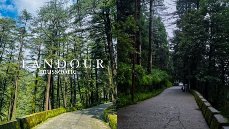 दिल्ली से लैंडोर कैसे जाएं? 5 घंटे की दूरी पर ये सुंदर हिल स्टेशन, जानें लैंडोर में कहां-कहां जाएं