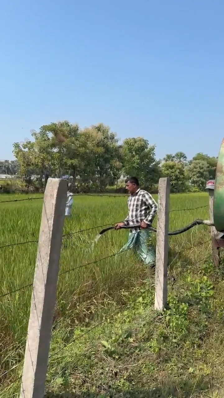 खेत में पाइप से पानी डालता किसान